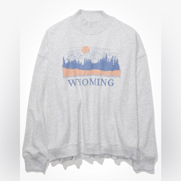 American Eagle Outfitters Graphic Mock Neck Sweater Gray Wyoming size Medium - Picture 10 of 12